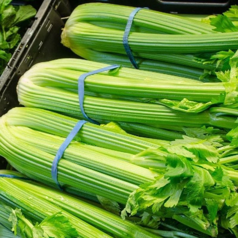皇后西芹种子四季高产脆嫩香芹芹菜种籽抗病耐热大田四季蔬菜