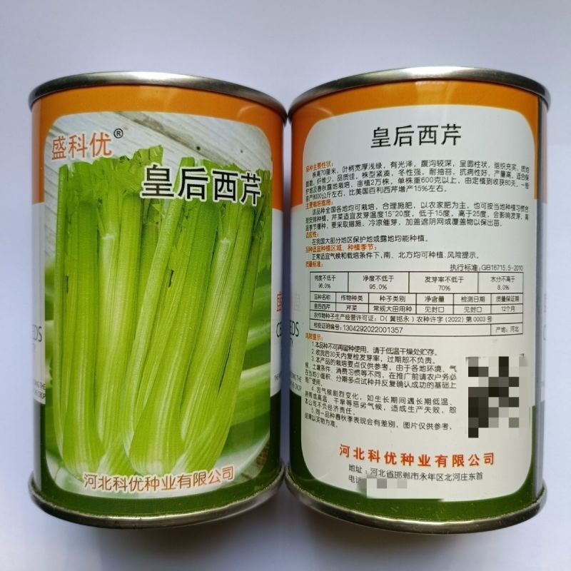 四季芹菜种子盛科优皇后西芹种子高产抗病农家菜园大田蔬菜籽