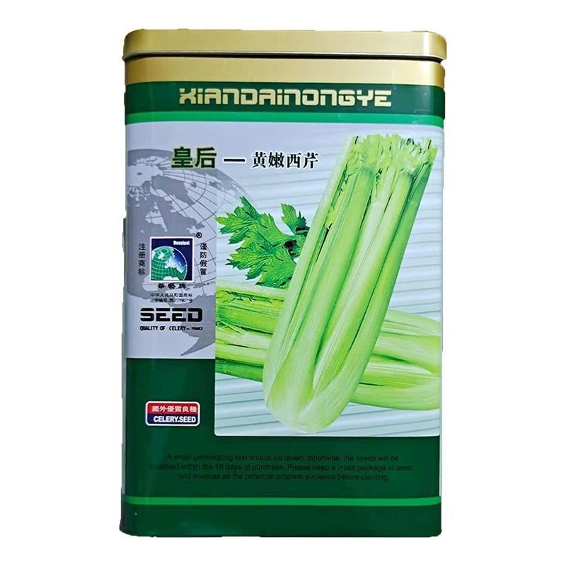 法国皇后黄嫩大头种子四季播种子基地种植品种专用芹菜高产耐