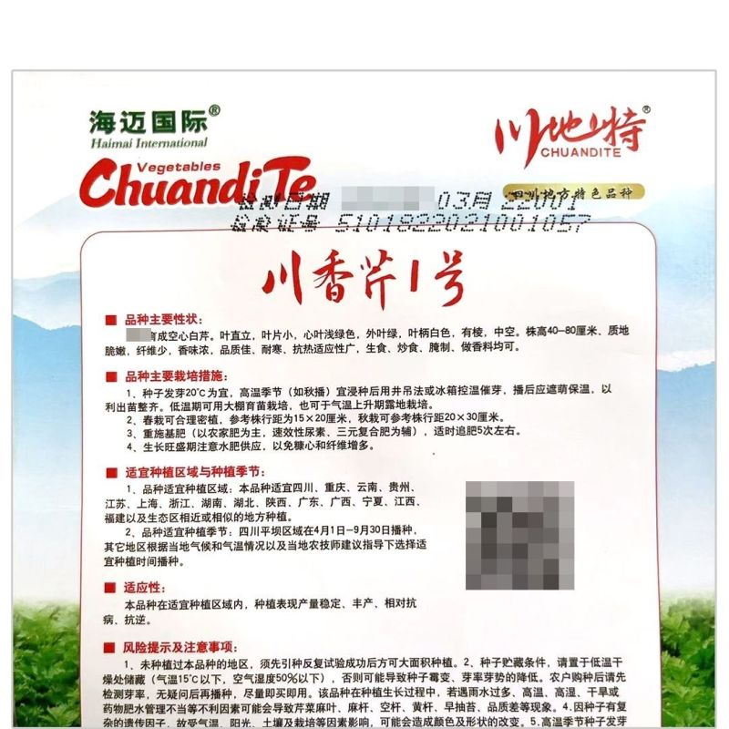 川香芹1号优质空心白芹种子嫩白香味浓耐寒抗热大田实心芹菜