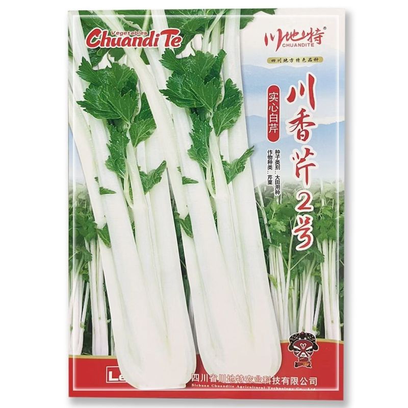 川香芹1号优质空心白芹种子嫩白香味浓耐寒抗热大田实心芹菜