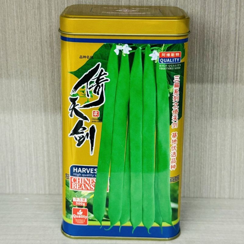 倚天剑新三扁架豆种子绿荚芸豆种籽春秋早熟抗病高产宽扁豆角
