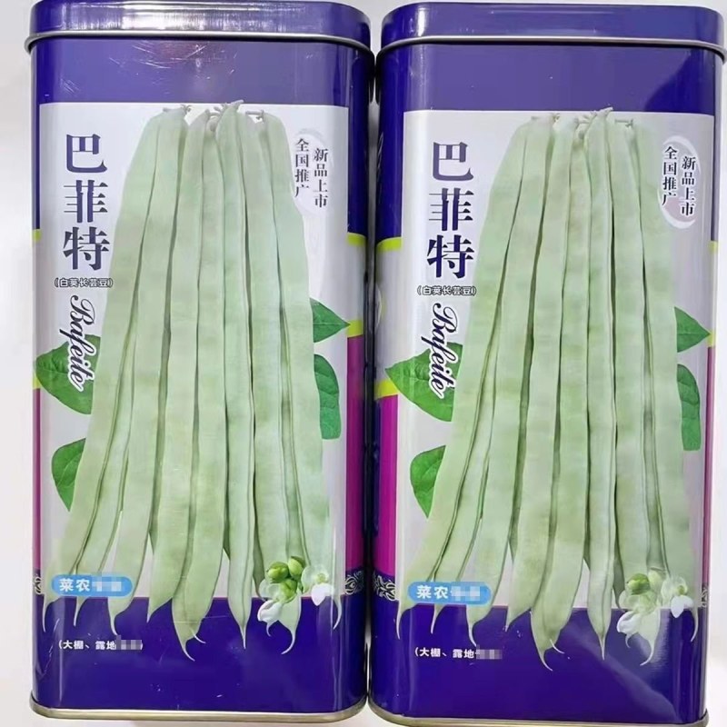 宏雨大白豆角种子巴菲特高产豆角种籽白荚新鲜长农家四季豆蔬