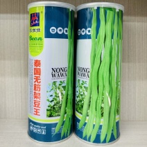 正品泰国无筋架豆王种子长豆角芸豆种籽超长无筋豆四季豆高产