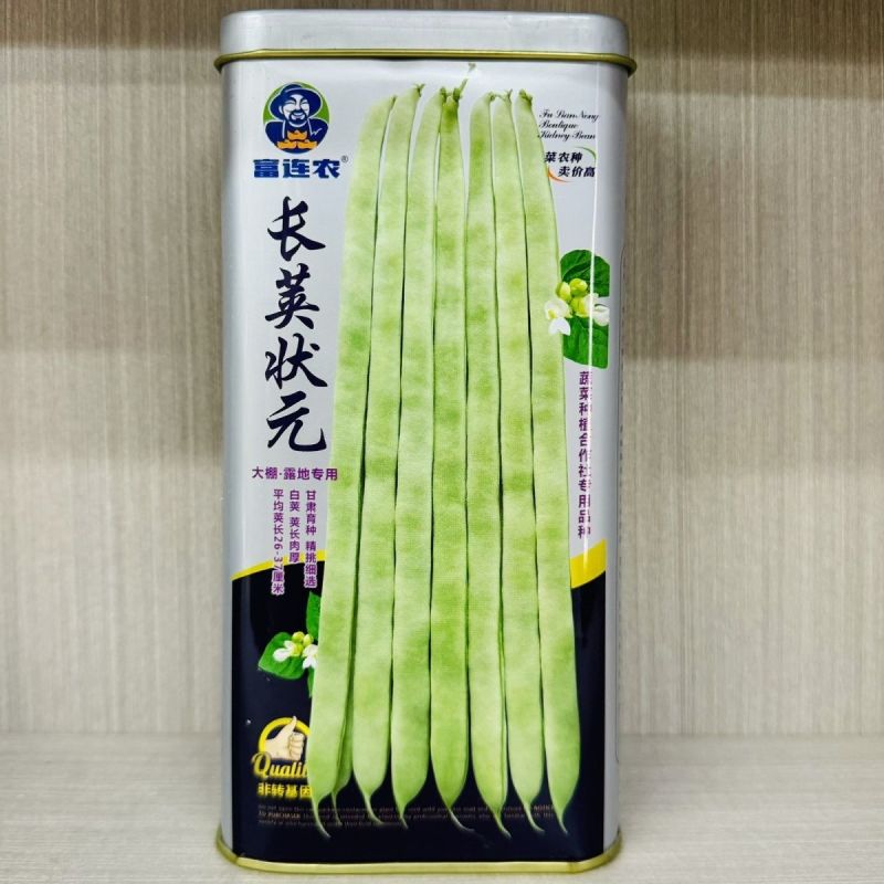 长荚状元白荚四季豆架豆种子高产早熟