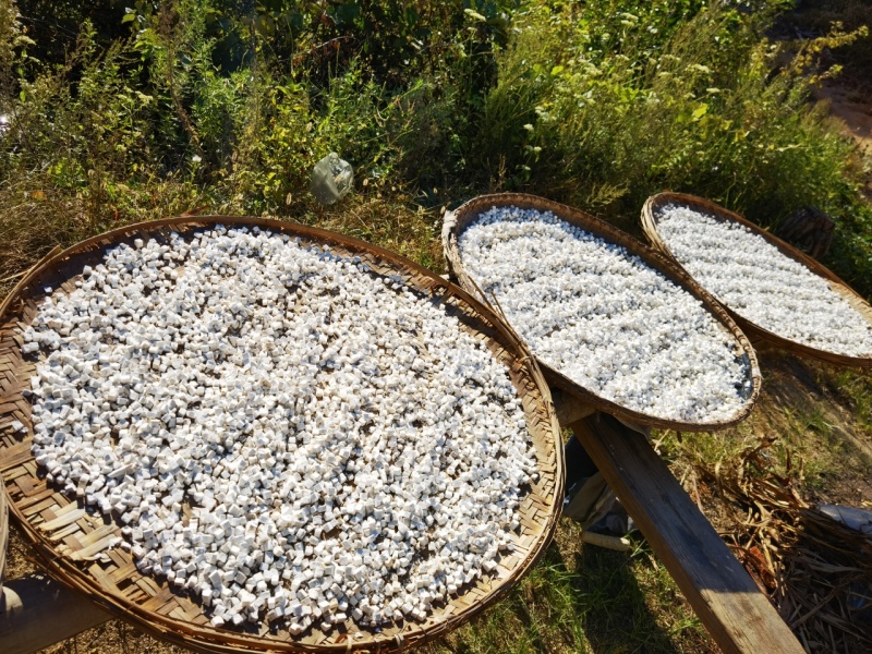大别山茯苓粒精选深山老茯苓品质保证原色原味，