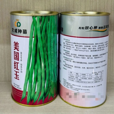 美国红玉架豆王种子长豆角芸豆种籽超长无筋豆种子四季豆高产