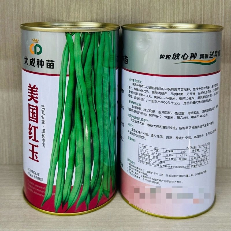 美国红玉架豆王种子长豆角芸豆种籽超长无筋豆种子四季豆高产
