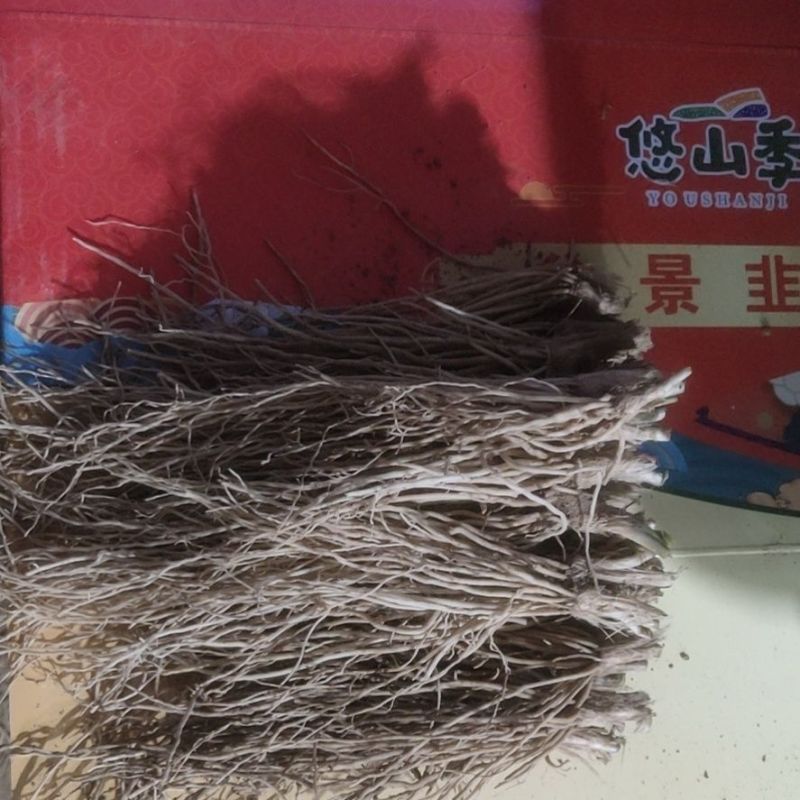 江苏丰县电商用韭菜根产地直发