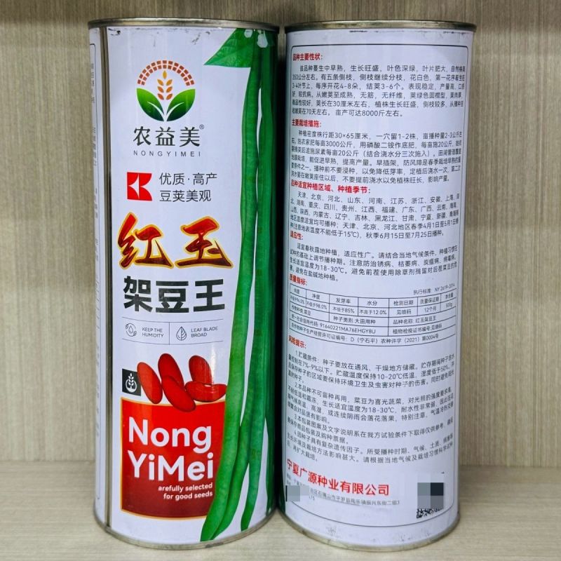 红玉架豆王豆角种子早熟速生长无纤维品质优无筋四季豆高产大