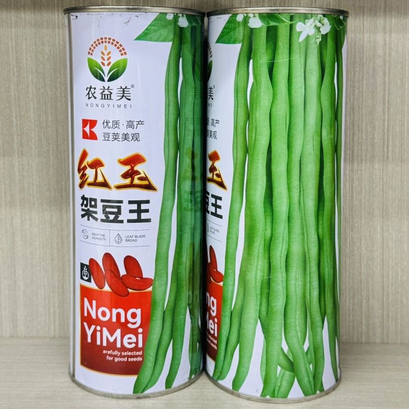 红玉架豆王豆角种子早熟速生长无纤维品质优无筋四季豆高产大