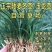 南通祥哥农场矮麦冬玉龙草