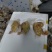 白条鸽，冻鸽自家养殖