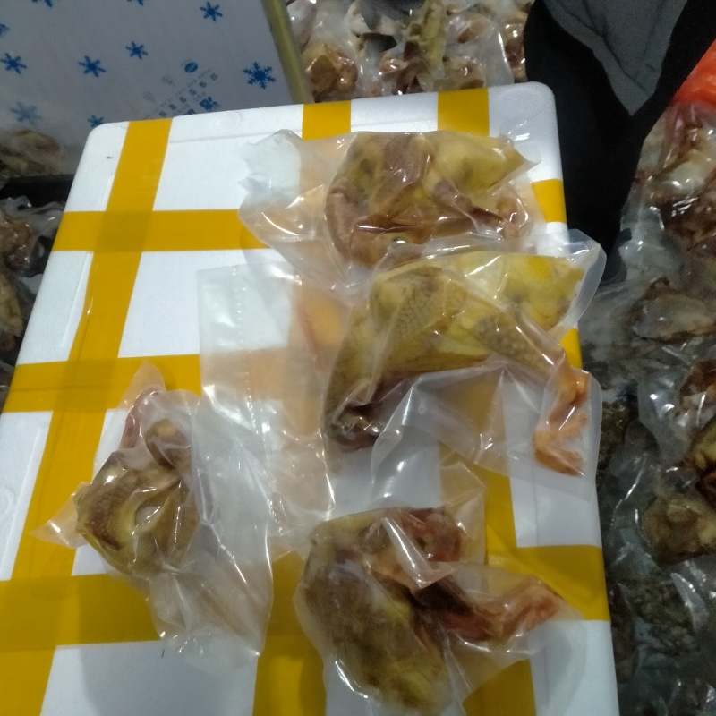 白条鸽，冻鸽自家养殖