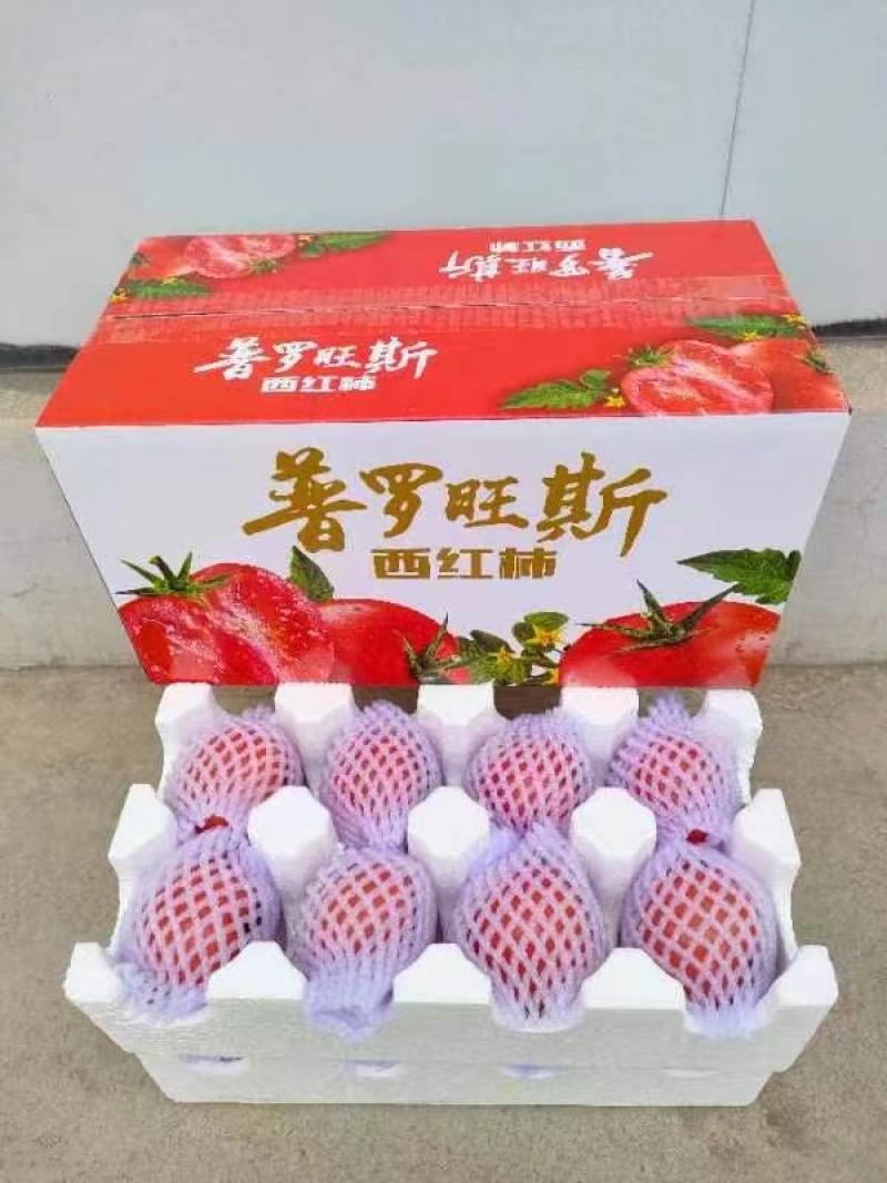 【一件代发电商】陕西泾阳普罗旺斯西红柿番茄各大平台