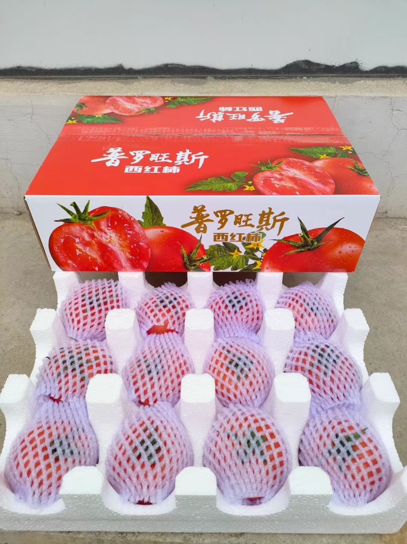 【一件代发电商】陕西泾阳普罗旺斯西红柿番茄各大平台