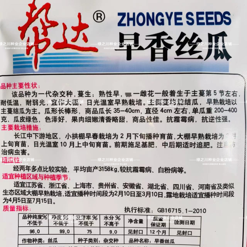 帮达美玉丝瓜种子特长早香丝瓜种子抗病高产肉嫩清香丝瓜种籽