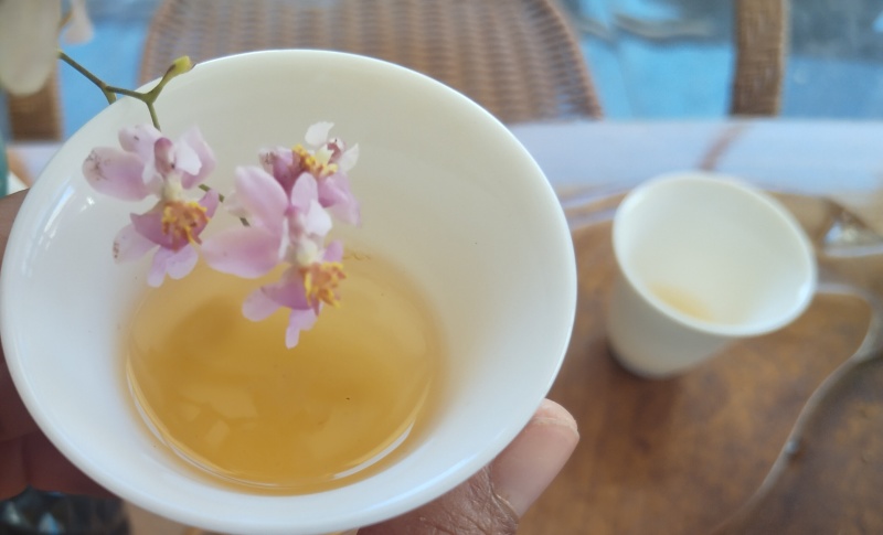 自家茶园