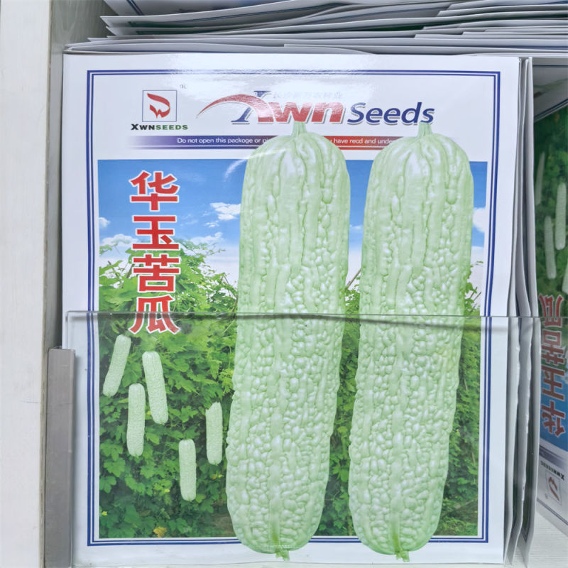 华玉苦瓜种子早熟果实皮绿白色肉质脆嫩苦味适中