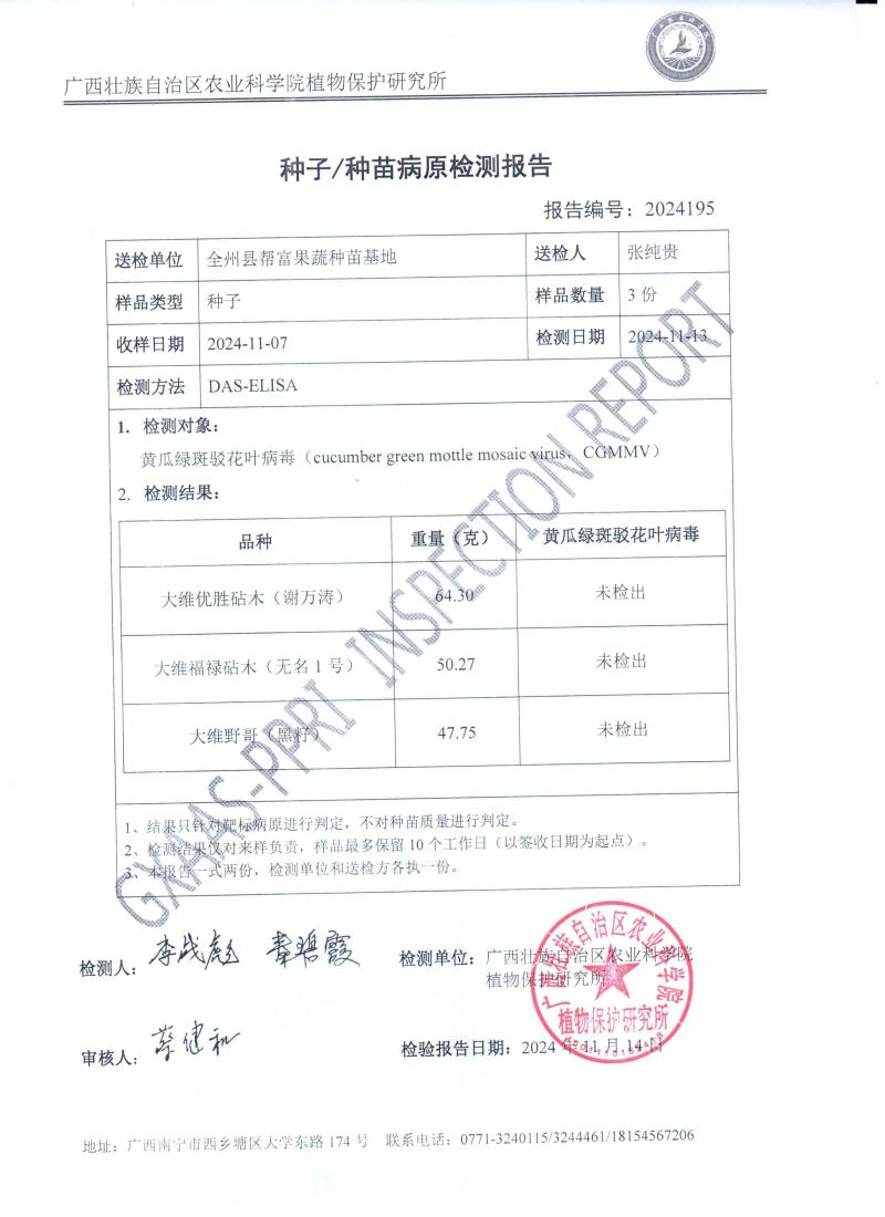 精品甜王西瓜苗嫁接西瓜苗品种齐全成活率高全国发货
