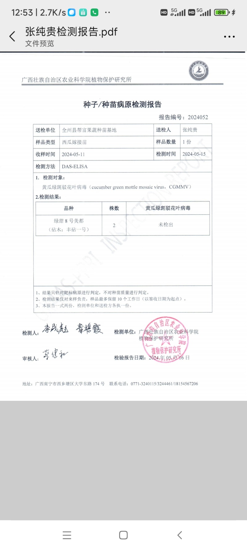 嫁接西瓜苗8424西瓜苗品种齐全大量供应产地直发