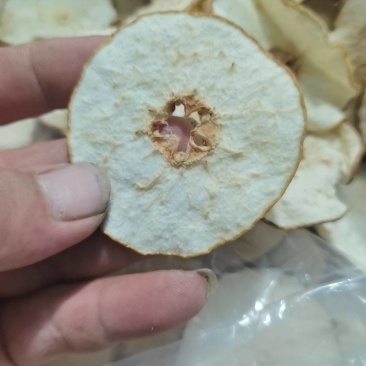 正宗无硫赵县雪梨干低温烘干技术无硫加工健康量大价格可以谈