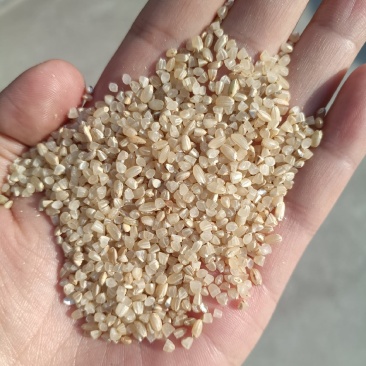 碎米白碎米糙米碎干净河南新乡米厂食品打粉饲料鸡鸭鹅猪牛羊