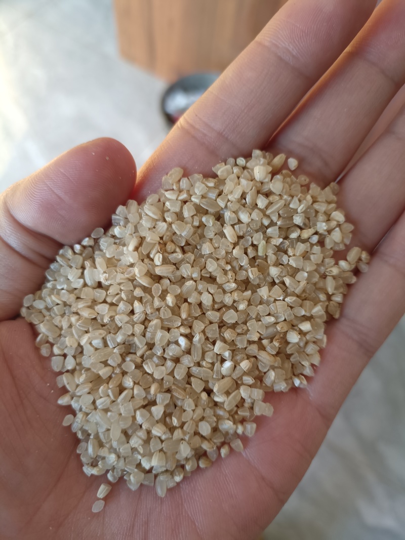 碎米白碎米糙米碎干净河南新乡米厂食品打粉饲料鸡鸭鹅猪牛羊