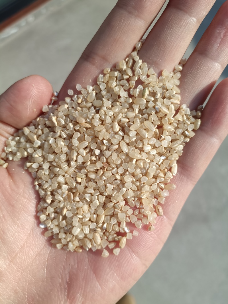碎米白碎米糙米碎干净河南新乡米厂食品打粉饲料鸡鸭鹅猪牛羊