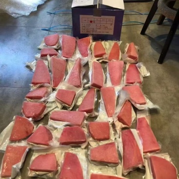 金枪鱼块金枪鱼肉金枪鱼排海鲜自助餐专用刺身食材黄旗金枪鱼