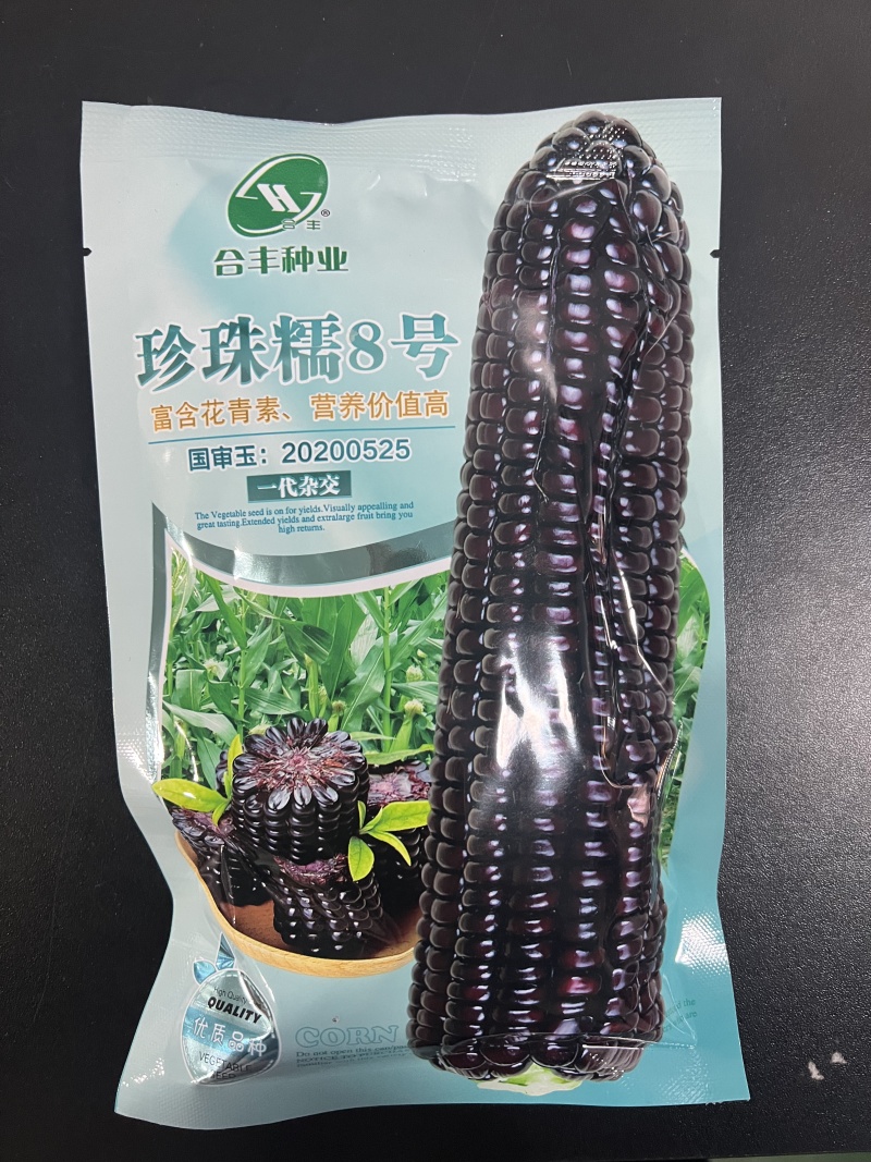 珍珠糯玉米8号黑玉米种子，糯中带甜，一代杂交种子