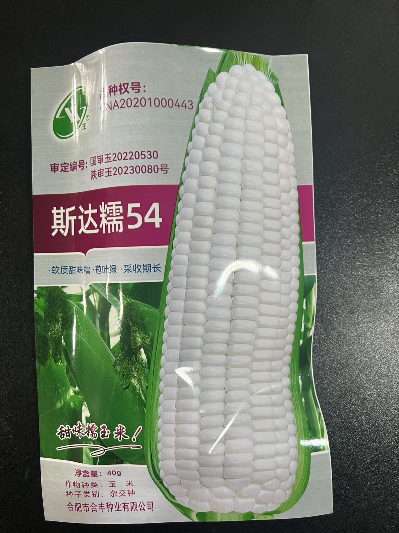 斯达糯玉米54-白甜糯玉米种子杂交早熟高产甜糯
