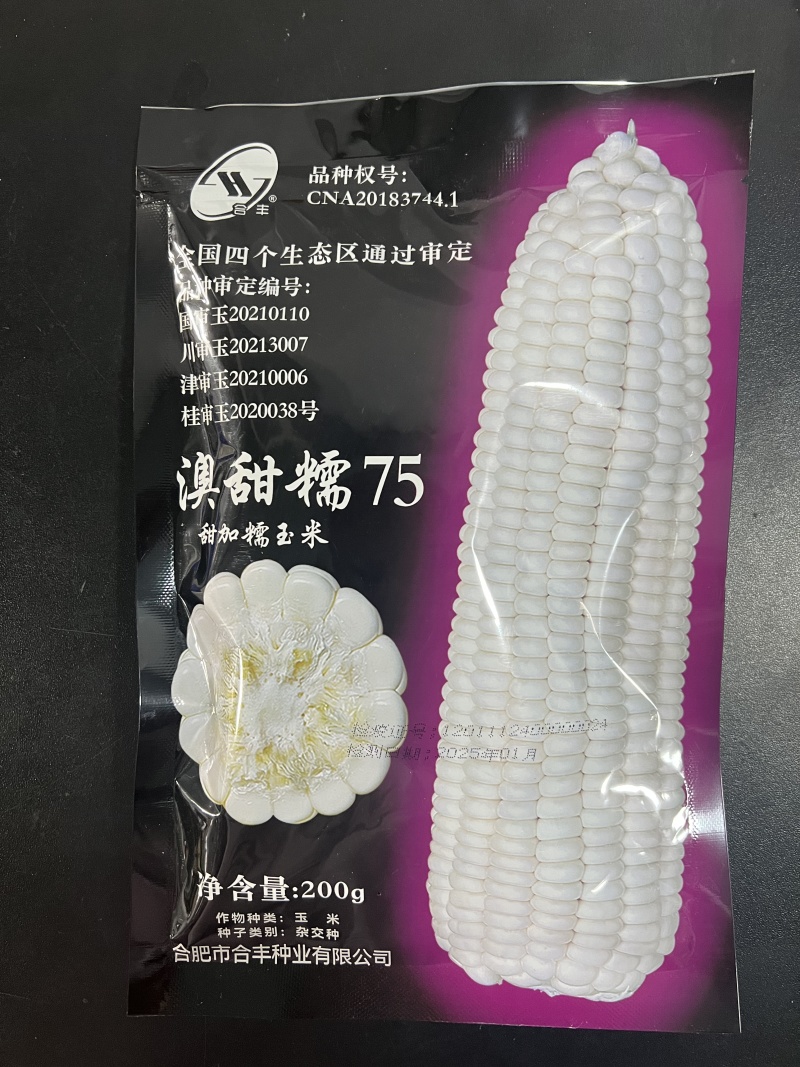 澳甜糯75-白甜糯玉米种子甜糯比1:3粘糯拉丝