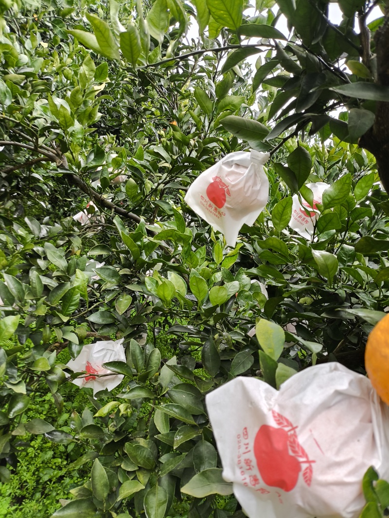 精品对接电商，通货，市场货