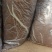 精品山东佛手瓜苗上市了一级精品货包成活率