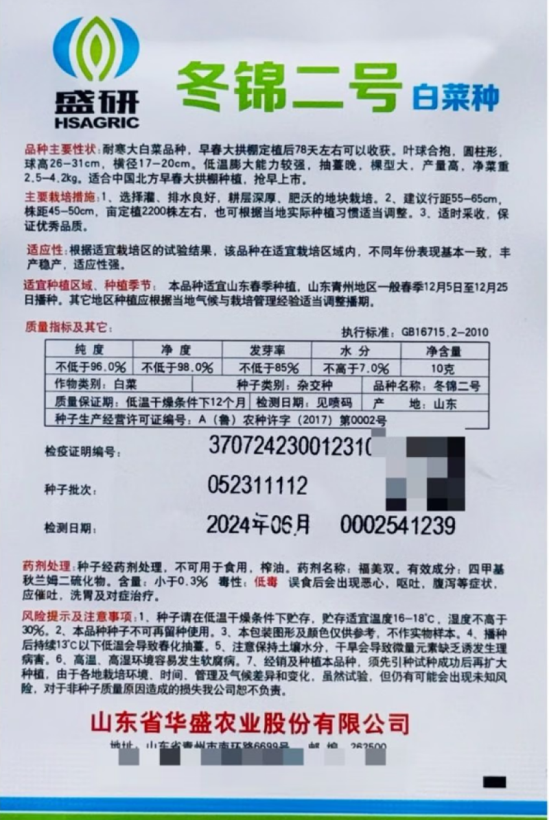 冬锦二号大白菜耐寒速生长高产黄心大白菜种籽抗病大田基地种