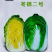 冬锦二号大白菜耐寒速生长高产黄心大白菜种籽抗病大田基地种