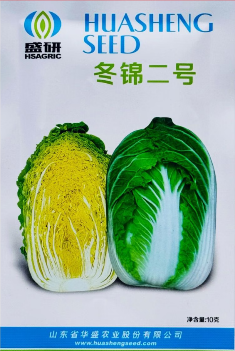 冬锦二号大白菜耐寒速生长高产黄心大白菜种籽抗病大田基地种