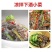 开胃菜鱼皮供应各种规格厂家直发价格优惠欢迎来电洽谈