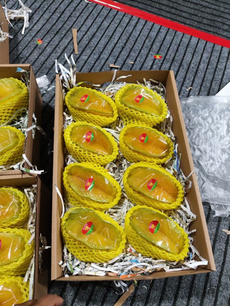 产地福建省漳州市云霄杨桃