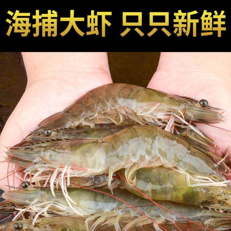 半斤才13元批发南美白对虾活体打包20-40头/斤