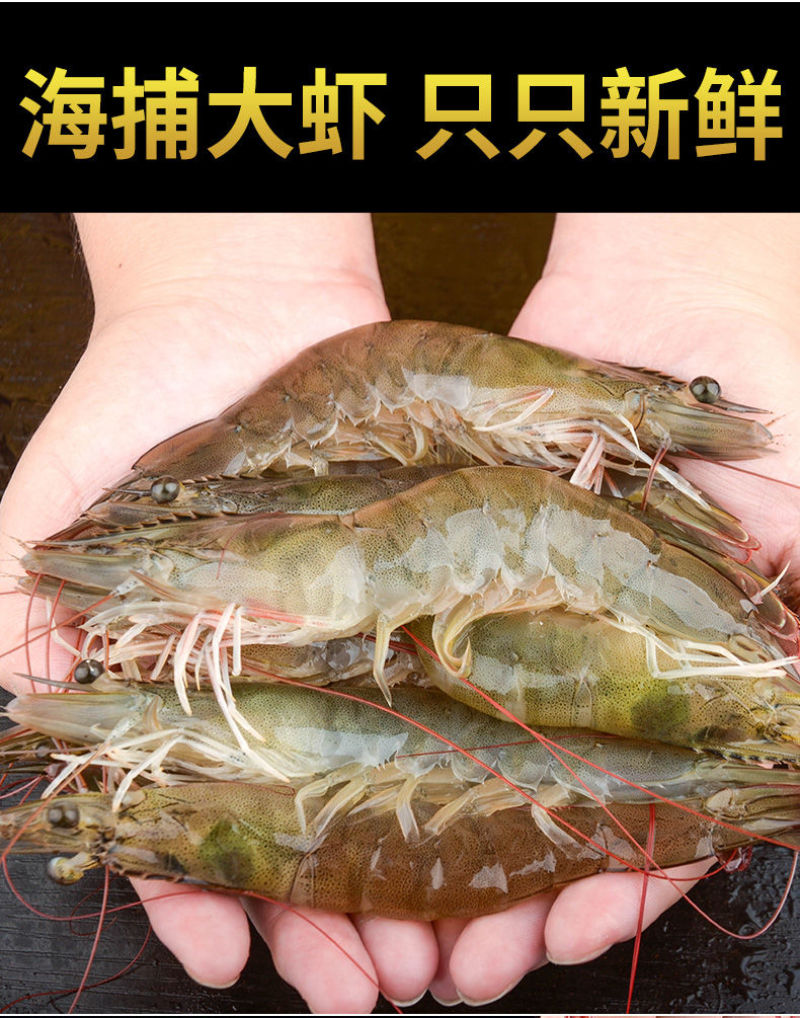 半斤才13元批发南美白对虾活体打包20-40头/斤