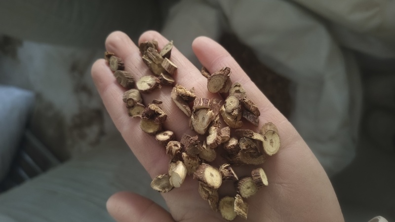 【野生甘草】味浓甜质量保证产地直销货源充足价格优惠