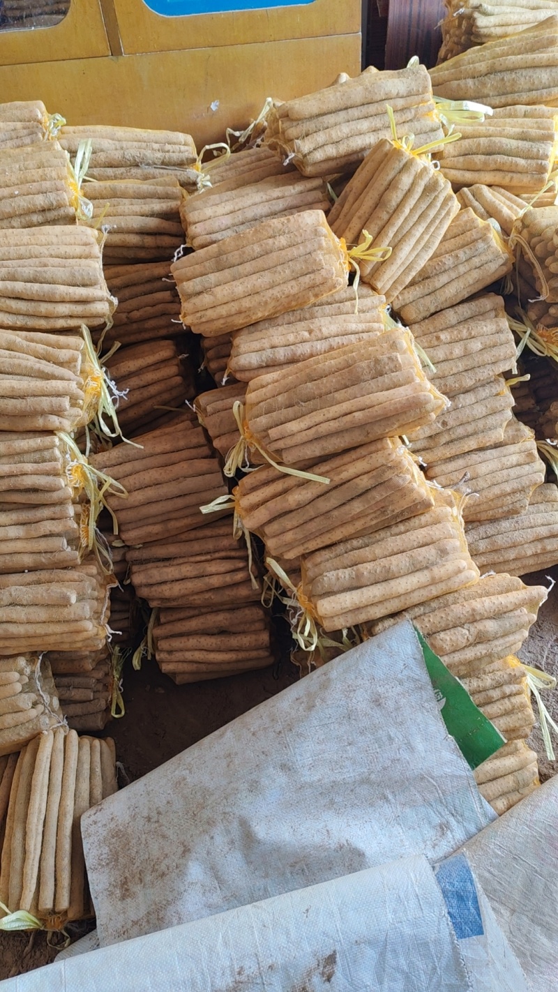 大量小白嘴山药