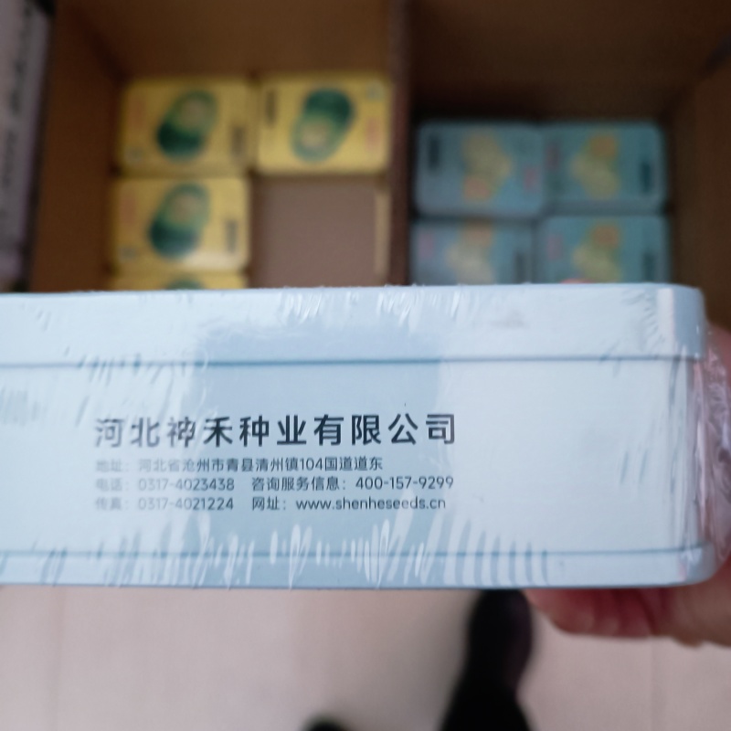 蜜奶香甜瓜种孑糖度高脆嫩甜爽产量高奶香味甜瓜种子香瓜种籽