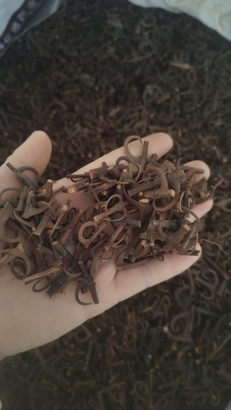 【双钩藤】百分之95钩地道药材大量有货质优价廉