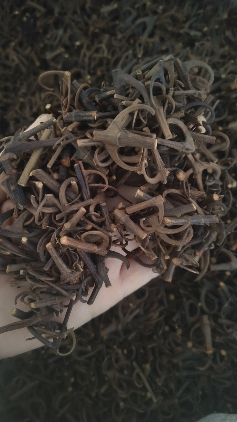 【双钩藤】百分之95钩地道药材大量有货质优价廉