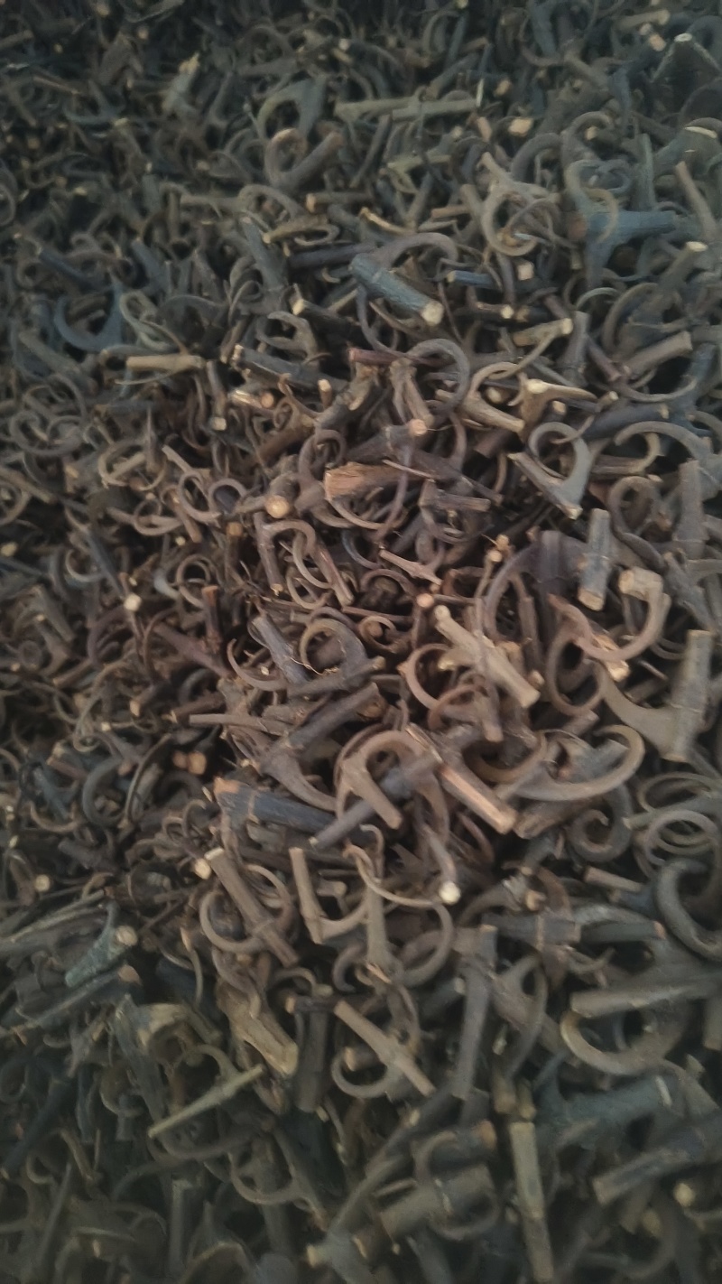【双钩藤】百分之95钩地道药材大量有货质优价廉