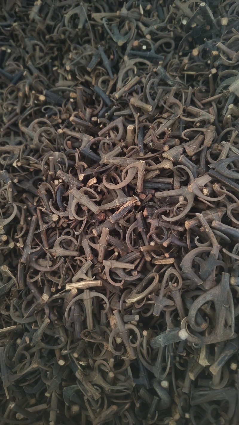 【双钩藤】百分之95钩地道药材大量有货质优价廉