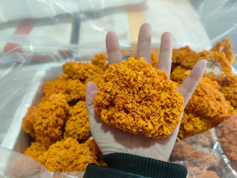 金耳菌干品，质量保证，品相好，量多优惠